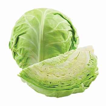 Cabbage