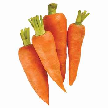 Carrots
